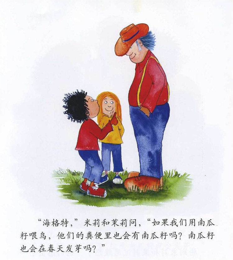 幼儿绘本故事：《非洲的大南瓜》