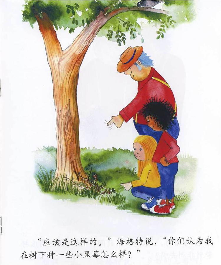 幼儿绘本故事：《非洲的大南瓜》