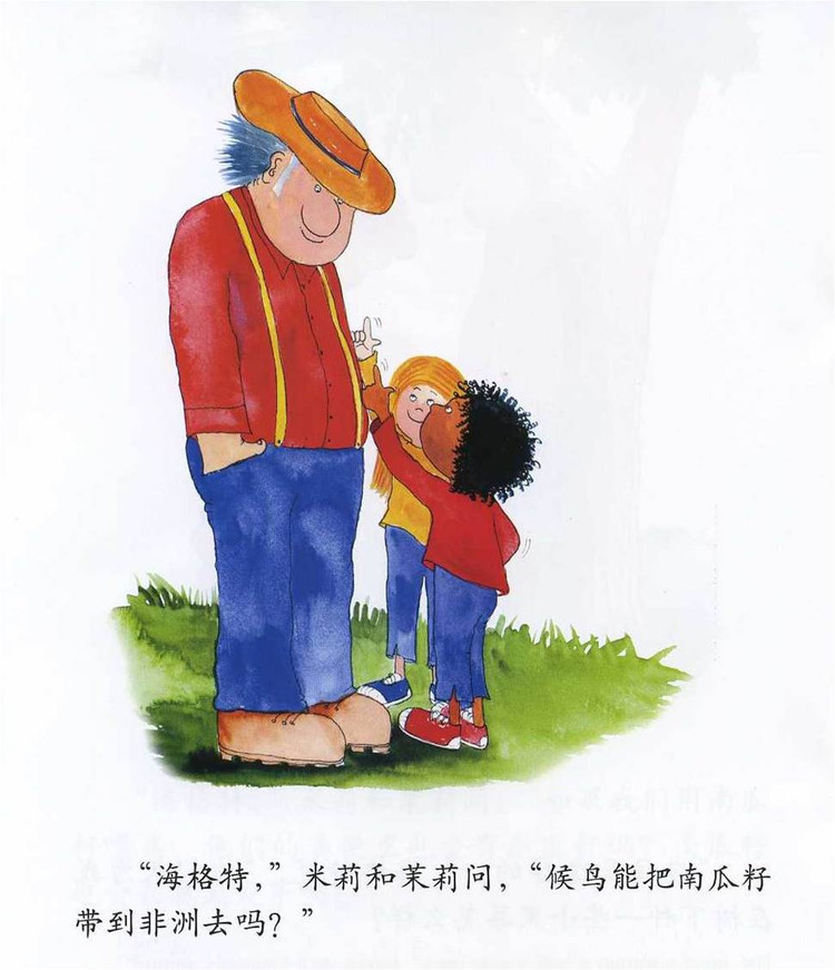 幼儿绘本故事：《非洲的大南瓜》
