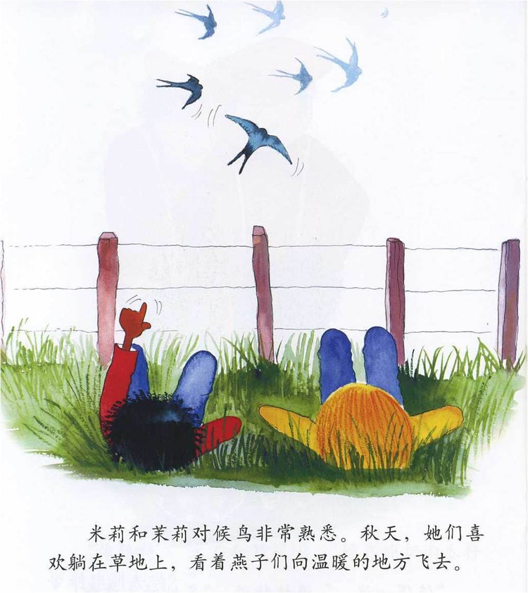 幼儿绘本故事：《非洲的大南瓜》