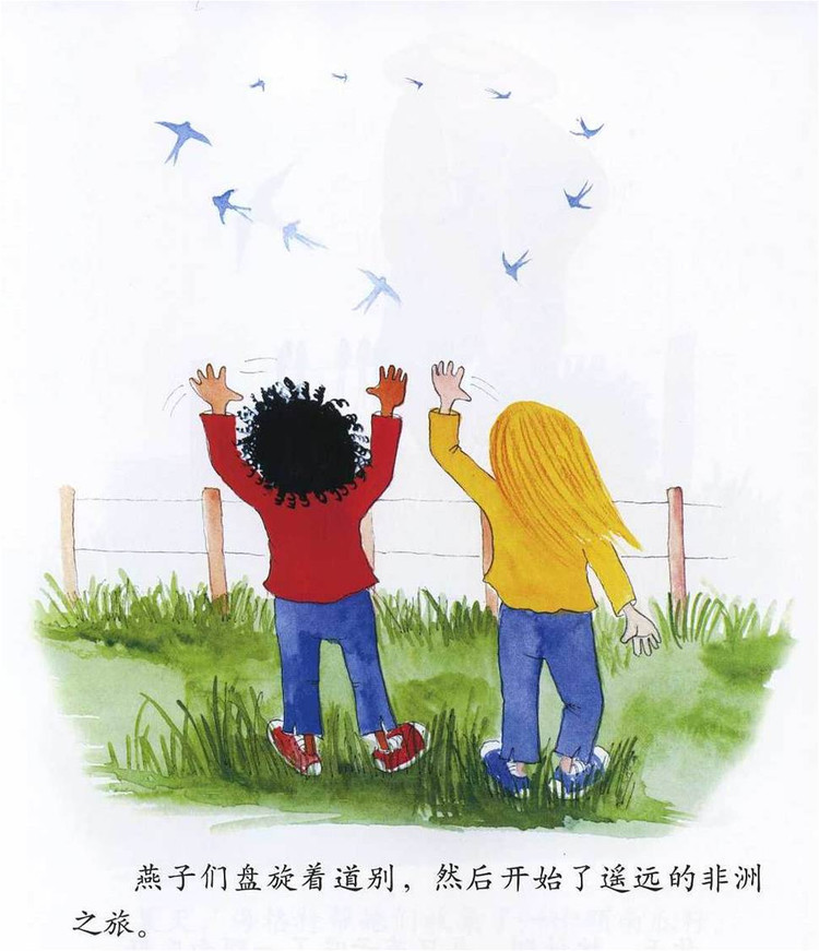 幼儿绘本故事：《非洲的大南瓜》