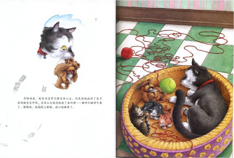 幼儿绘本故事：《小老鼠亚历山大》