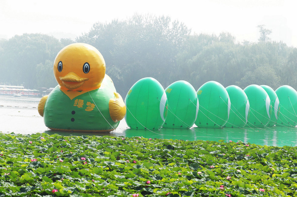 北京玉渊潭的绿梦鸭和园博园的大黄鸭