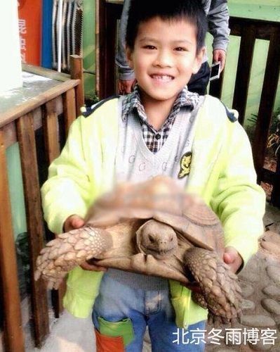 52岁大宋佳6岁儿子近照曝光 手捧乌龟蜥蜴