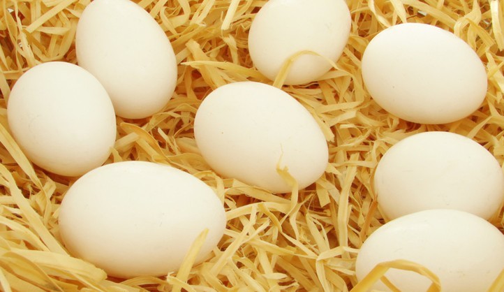 广州鸡蛋价格上升，皆因气温升高