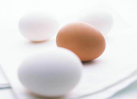 鸡蛋 高蛋白质饮食