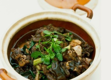 孕妇吃狗肉的禁忌盘点