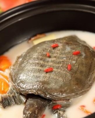 怀孕初期禁忌食物 慎防流产