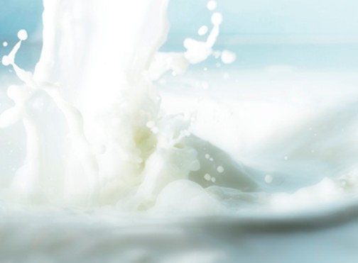 荷兰奶粉怎么样 荷兰奶粉品牌排行榜