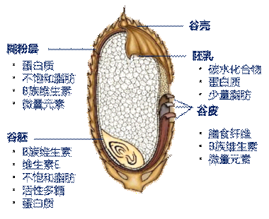 合生元教你让宝宝在6月吃出本色