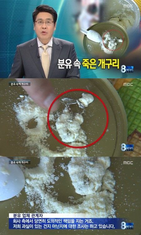 韩国知名奶粉中现死青蛙 引发网友愤怒(图)