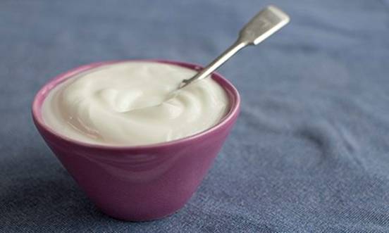 英国媒体介绍自己在家做酸奶的方法(图)