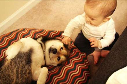 宝宝和狗狗的情缘