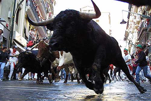 西班牙奔牛节酿惨祸：一男子被公牛蹂躏刺穿私处