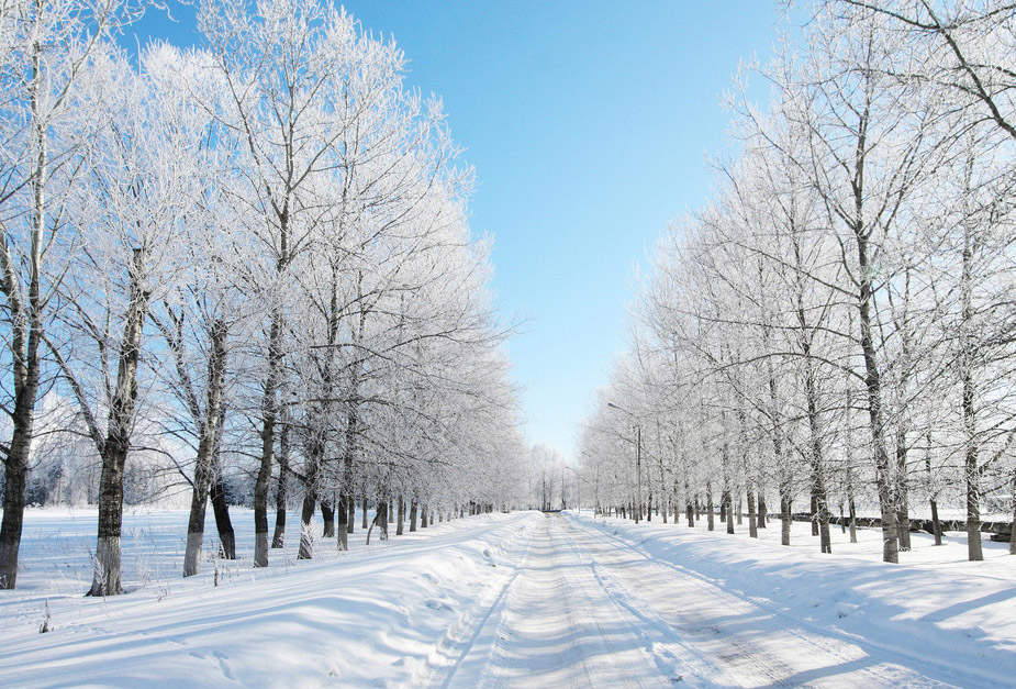 2012大雪养生