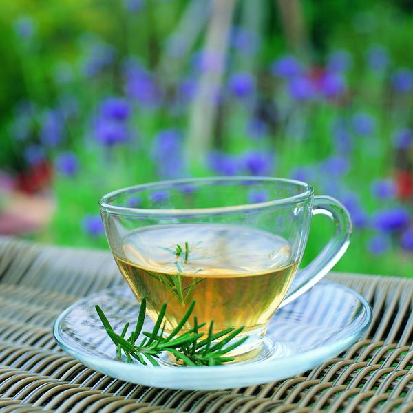 春季养生喝什么茶