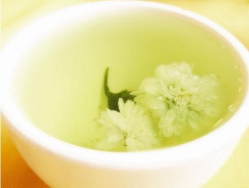 春季养生推荐5种花茶