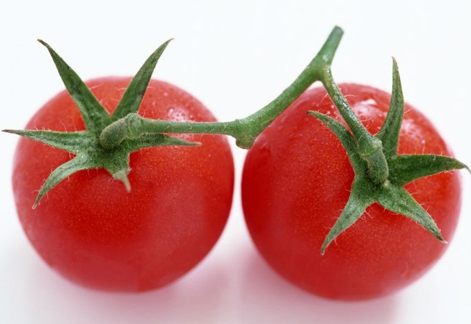 挑选西红柿 越红越好吃