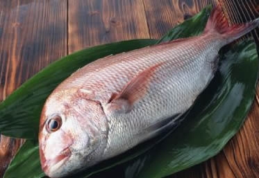 12款有利于男性养生的食物