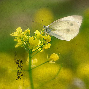 惊蛰养生 二十四节气之惊蛰养生篇