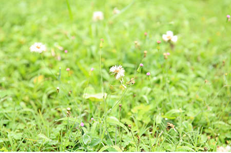 重阳节去哪里9