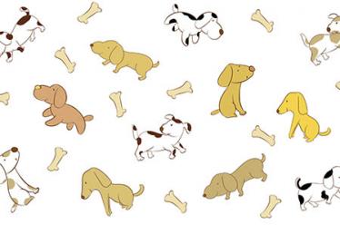 猴子和鳄鱼的故事3