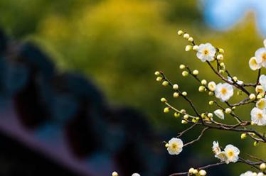 光棍节笑话13