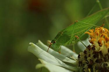 凯蒂猫的童话故事4 凯蒂猫的童话故事4