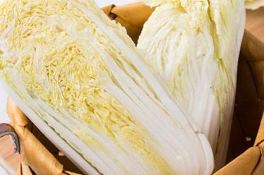 小老鼠过生日的故事