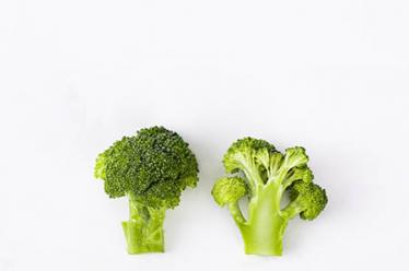 玩手机对孩子的危害有哪些10