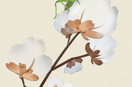 春节为什么要贴春联2