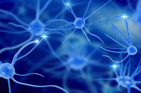 怎样把孩子培养得出类拔萃?脑神经科学家最新研究！2