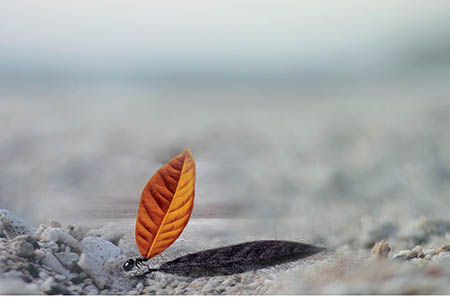 孩子教会我们的事:放下!6