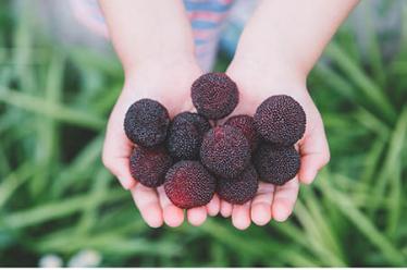 爱哭的猫头鹰的故事3 爱哭的猫头鹰的故事3