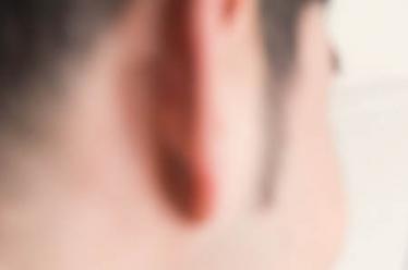 热心的红袋鼠 热心的红袋鼠