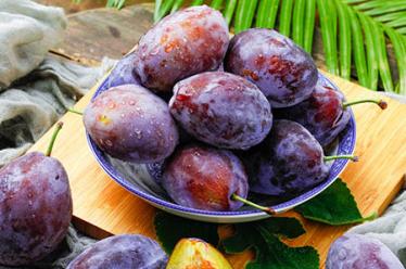 小鸡和海豚比赛的故事 小鸡和海豚比赛的故事