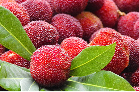 抑郁症的前兆表现7