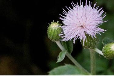 子时是几点到几点3