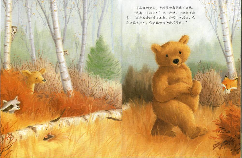 大棕熊的秘密绘本2