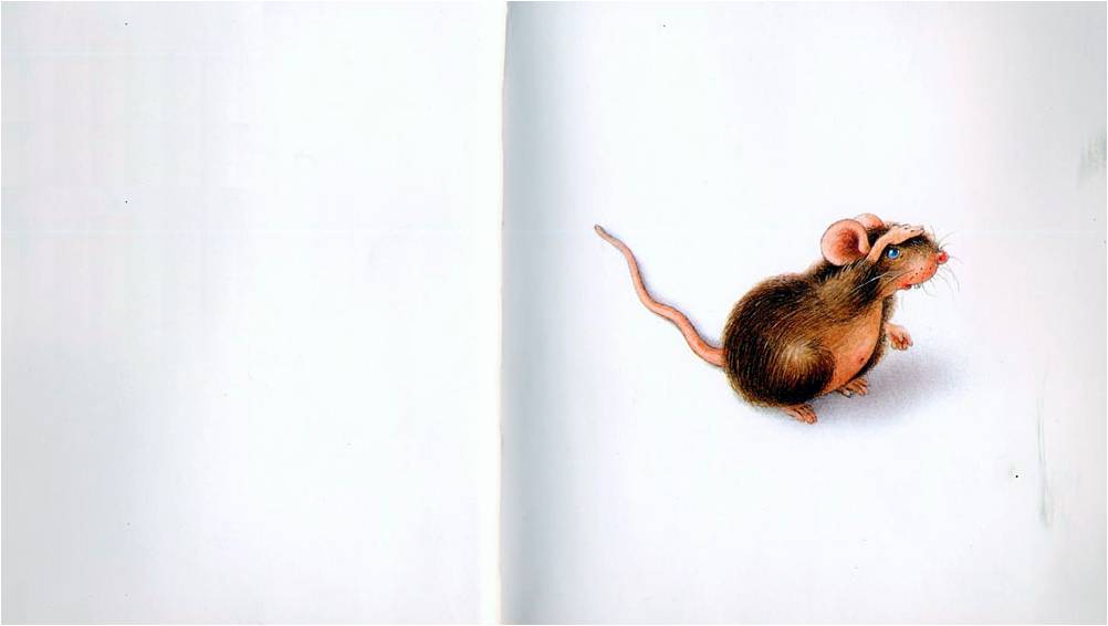 小老鼠的无字书·大风绘本3