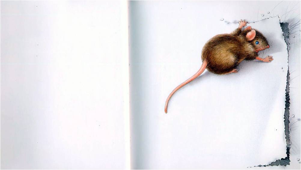 小老鼠的无字书·大风绘本6