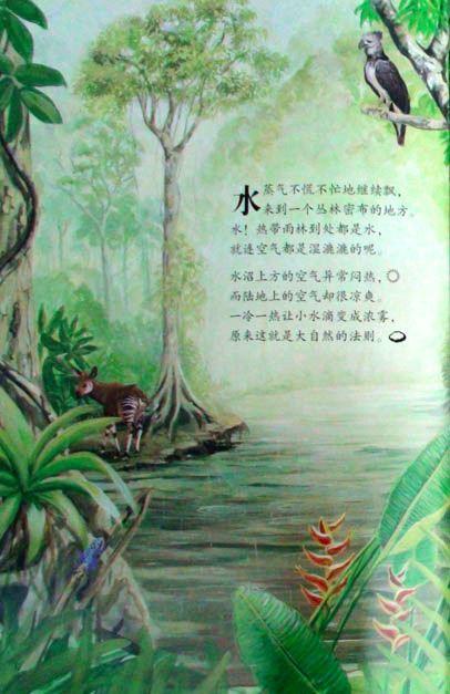 小水滴周游世界绘本11