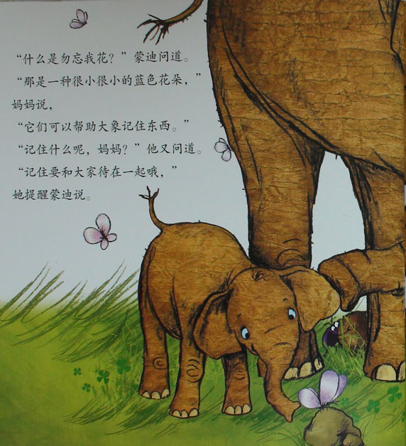 我找不到妈妈了绘本6