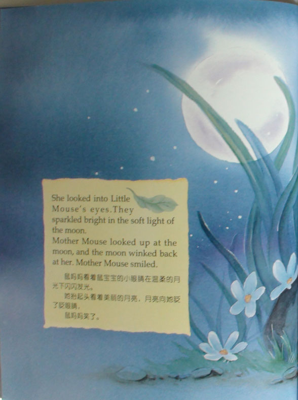 月光之下绘本19