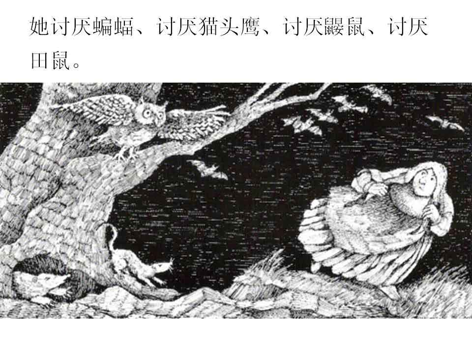 讨厌黑夜的席奶奶绘本4