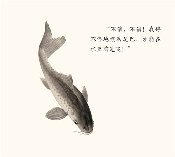 借尾巴绘本14