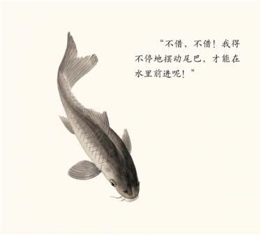 借尾巴绘本14