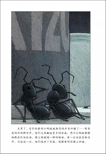 两只坏蚂蚁绘本28