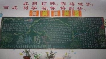 世界森林日黑板报