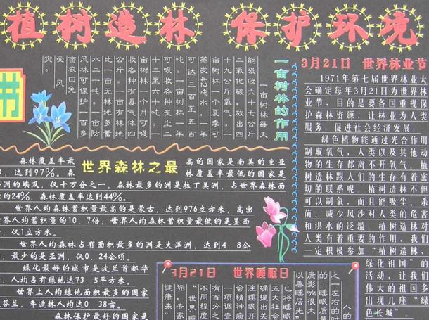 世界森林日黑板报